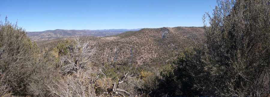 On NM-15 in Gila National Forest.